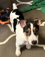 processed/80d303e8-0656-4d9e-8c82-09e19bc041f0/listing/c45e6d16-ac3e-406c-82dc-c96c84d2e84f/f0d4f5e0-f3bc-4162-a6b5-0a1fb837cf9f