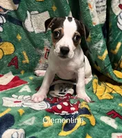 processed/80d303e8-0656-4d9e-8c82-09e19bc041f0/listing/cc97994e-8a24-4a35-8bea-4e4303dc511c/bbc28cbf-f1b0-497f-824a-f4f25ccbf1c2