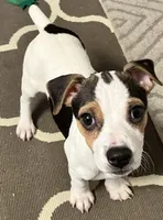 processed/80d303e8-0656-4d9e-8c82-09e19bc041f0/listing/cc97994e-8a24-4a35-8bea-4e4303dc511c/e9951fba-5376-42fa-9614-15ba94b0597d