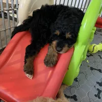 processed/80fac6a0-4f4a-47e9-a538-14223e199d41/facility/0c43418d-7e41-44e4-991d-9428fb660513