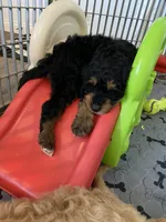 processed/80fac6a0-4f4a-47e9-a538-14223e199d41/facility/0c43418d-7e41-44e4-991d-9428fb660513