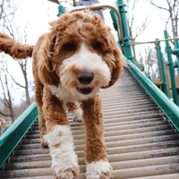 processed/80fac6a0-4f4a-47e9-a538-14223e199d41/facility/0d0f1b60-21c1-4ea0-89a1-5fba67fdd74e