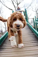 processed/80fac6a0-4f4a-47e9-a538-14223e199d41/facility/0d0f1b60-21c1-4ea0-89a1-5fba67fdd74e