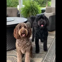 processed/80fac6a0-4f4a-47e9-a538-14223e199d41/facility/1d8e7aab-273c-41b6-8f7b-5dd9eef04ba0