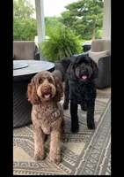 processed/80fac6a0-4f4a-47e9-a538-14223e199d41/facility/1d8e7aab-273c-41b6-8f7b-5dd9eef04ba0