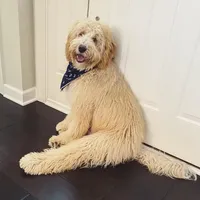 processed/80fac6a0-4f4a-47e9-a538-14223e199d41/facility/2541f089-7f8d-4352-95df-963666d78365