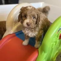 processed/80fac6a0-4f4a-47e9-a538-14223e199d41/facility/2ceac43b-40d2-4213-b0cc-9f6f4d0377e9