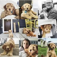 processed/80fac6a0-4f4a-47e9-a538-14223e199d41/facility/69d56e66-ed7a-44c1-985d-8a9ebb17c23b