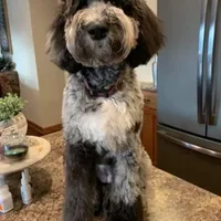 processed/80fac6a0-4f4a-47e9-a538-14223e199d41/facility/b8dec2fd-8913-4cf6-af5c-cc0145a0bc69