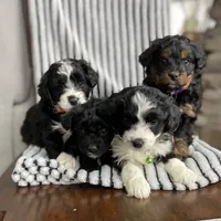 processed/80fac6a0-4f4a-47e9-a538-14223e199d41/facility/e0290c9c-7ae1-48c7-ae73-6b381e685769