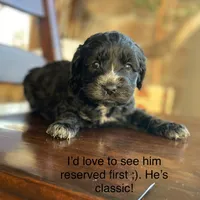 processed/80fac6a0-4f4a-47e9-a538-14223e199d41/listing/140d949b-ab6c-44d1-9b24-16e3dd7a3129/2ebe336f-7ec4-4976-86aa-8dde5f09931f