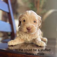 processed/80fac6a0-4f4a-47e9-a538-14223e199d41/listing/2d647f2a-1882-4051-8d2b-6f8210576349/0b1be050-9a86-4284-bf8c-9c44cb43ba04