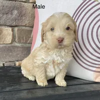 processed/80fac6a0-4f4a-47e9-a538-14223e199d41/listing/2d647f2a-1882-4051-8d2b-6f8210576349/f4bdf436-aa51-464a-9365-721eb8c66c5a