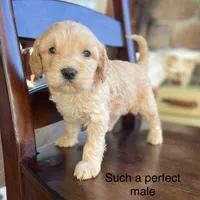 processed/80fac6a0-4f4a-47e9-a538-14223e199d41/listing/67cff932-693e-4e3d-9fe7-177b2feb725d/8d2e7f6e-2648-424c-8a59-d5e2a9012845