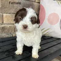 processed/80fac6a0-4f4a-47e9-a538-14223e199d41/listing/f2f2777d-9ad4-465e-8183-3efc54a9b06f/8f974838-b012-4ea5-8d11-48daca8028ac