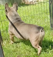 processed/80feec21-d0e5-4578-ad1d-d8c21bcf12c9/listing/02ee2151-53ef-4065-9104-f82c47f0d237/16d93904-ce6f-43b9-a311-181abaa01ec8