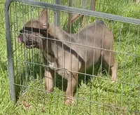 processed/80feec21-d0e5-4578-ad1d-d8c21bcf12c9/listing/02ee2151-53ef-4065-9104-f82c47f0d237/1b0750b8-1dbd-4ee9-a7c2-00791ad99774