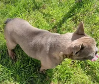 processed/80feec21-d0e5-4578-ad1d-d8c21bcf12c9/listing/02ee2151-53ef-4065-9104-f82c47f0d237/7d461fc6-58bc-415d-b21d-d76f6e6c4e24