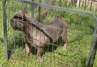 processed/80feec21-d0e5-4578-ad1d-d8c21bcf12c9/listing/02ee2151-53ef-4065-9104-f82c47f0d237/a07e2b80-c570-45d0-a3da-8a16b7db9f46