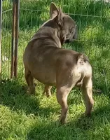 processed/80feec21-d0e5-4578-ad1d-d8c21bcf12c9/listing/02ee2151-53ef-4065-9104-f82c47f0d237/e712f8f7-9249-4f39-81dc-e7a8735ee399