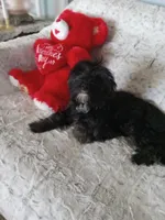 processed/80feec21-d0e5-4578-ad1d-d8c21bcf12c9/listing/156f7776-f237-4b1e-b04b-1c9de94d81bb/12006832-78cc-4cd4-82ab-251ef8a323ac