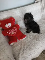 processed/80feec21-d0e5-4578-ad1d-d8c21bcf12c9/listing/156f7776-f237-4b1e-b04b-1c9de94d81bb/16e904e2-9469-414b-b064-2a509828c5ff