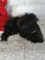 processed/80feec21-d0e5-4578-ad1d-d8c21bcf12c9/listing/156f7776-f237-4b1e-b04b-1c9de94d81bb/b1bcb6bd-acdf-4949-a43d-bcbe59fc9cff