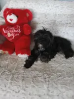 processed/80feec21-d0e5-4578-ad1d-d8c21bcf12c9/listing/156f7776-f237-4b1e-b04b-1c9de94d81bb/f5b30b1b-ceff-4280-92f4-dacea6b8ef57