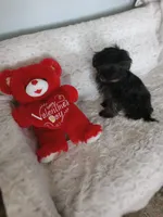 processed/80feec21-d0e5-4578-ad1d-d8c21bcf12c9/listing/156f7776-f237-4b1e-b04b-1c9de94d81bb/f96afe22-391e-4a3b-ba33-7adc57ffd455