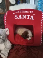 processed/80feec21-d0e5-4578-ad1d-d8c21bcf12c9/listing/7e36cec5-82b1-452b-be95-e1ea0bba45a7/efc21f8f-6141-4e00-965c-d331d30c3f89