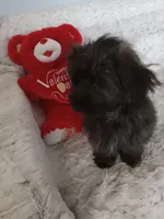 processed/80feec21-d0e5-4578-ad1d-d8c21bcf12c9/listing/af5032e3-8de9-4c16-b981-7bb379a4f2ba/1cbfdd55-c3aa-4eb0-bfa5-1a12f2380a7a