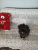 processed/80feec21-d0e5-4578-ad1d-d8c21bcf12c9/listing/af5032e3-8de9-4c16-b981-7bb379a4f2ba/28d1b9d5-417e-49a0-804c-f57b9da7e527