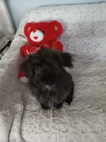 processed/80feec21-d0e5-4578-ad1d-d8c21bcf12c9/listing/af5032e3-8de9-4c16-b981-7bb379a4f2ba/91eb6450-4c4d-4798-8c64-afa696ff24d4