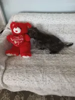 processed/80feec21-d0e5-4578-ad1d-d8c21bcf12c9/listing/af5032e3-8de9-4c16-b981-7bb379a4f2ba/b2047067-79e1-4446-9f42-d21026ba588c