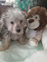 processed/80feec21-d0e5-4578-ad1d-d8c21bcf12c9/listing/cda82fd7-7e29-4a0c-8180-b46e325f2b3d/38daa9e7-6071-455f-94be-c67c0a3c0b52