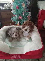 processed/80feec21-d0e5-4578-ad1d-d8c21bcf12c9/listing/cda82fd7-7e29-4a0c-8180-b46e325f2b3d/98e4df35-ad39-4b56-80e8-5fffc1ddeec5