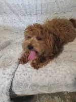 processed/80feec21-d0e5-4578-ad1d-d8c21bcf12c9/listing/e9070f0c-dd57-4b99-8e4f-0ae3fcd06bfa/6c0fd022-98b9-416e-bd52-53b266b7b3f3