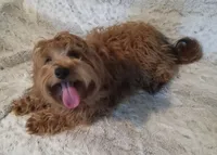 processed/80feec21-d0e5-4578-ad1d-d8c21bcf12c9/listing/e9070f0c-dd57-4b99-8e4f-0ae3fcd06bfa/9f349e76-128f-46be-ae4b-fcb2cf0d8088