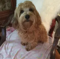 processed/80feec21-d0e5-4578-ad1d-d8c21bcf12c9/listing/e9070f0c-dd57-4b99-8e4f-0ae3fcd06bfa/a03485ee-022c-4298-a7a3-8ef30fc2e529