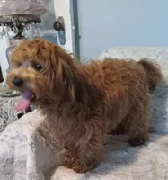 processed/80feec21-d0e5-4578-ad1d-d8c21bcf12c9/listing/e9070f0c-dd57-4b99-8e4f-0ae3fcd06bfa/d81bdb66-6f1b-4727-8ff0-1bb27243533d