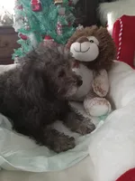 processed/80feec21-d0e5-4578-ad1d-d8c21bcf12c9/listing/effda367-160e-4dfc-9968-0bffc1acbdb3/3c8d064c-c3ee-43f8-aa71-7913665d29bc