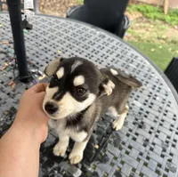 processed/81081e98-e5ea-49d9-8f5c-e6baae5767b0/listing/7b3c81bb-f719-4a46-b073-436fdfa94162/5a6916f1-bed7-4b61-bccc-963211ee726c