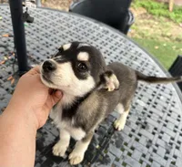 processed/81081e98-e5ea-49d9-8f5c-e6baae5767b0/listing/7b3c81bb-f719-4a46-b073-436fdfa94162/f0acb45c-c2e6-47b3-be03-8b2b223032a6