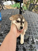 processed/81081e98-e5ea-49d9-8f5c-e6baae5767b0/listing/c06b2e4c-74ce-4873-8680-ce42b35ab118/725b27c6-02df-4461-8113-edb7283b0dc2