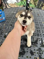 processed/81081e98-e5ea-49d9-8f5c-e6baae5767b0/listing/c06b2e4c-74ce-4873-8680-ce42b35ab118/c7afca58-976e-49c7-af89-d6836bd551a6