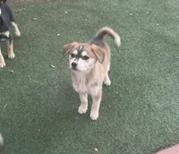 processed/81081e98-e5ea-49d9-8f5c-e6baae5767b0/listing/c06b2e4c-74ce-4873-8680-ce42b35ab118/f98289c5-bc36-492a-a869-8e3c0f2f27e4