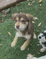 processed/81081e98-e5ea-49d9-8f5c-e6baae5767b0/listing/f2ab8fec-fe0b-4656-8d6a-ffbd09aa77af/afc3daae-e484-42ec-bd04-e0163fa2676d