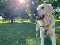 processed/810cecd2-eaa1-4ac8-ae0d-39a6f514e457/facility/24dcf873-e145-4143-b920-71990c4a34b6