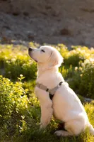 processed/810cecd2-eaa1-4ac8-ae0d-39a6f514e457/facility/4e898770-28b7-4c4d-8c7b-fe2825de9354