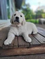 processed/810cecd2-eaa1-4ac8-ae0d-39a6f514e457/facility/51b30aad-0391-4f2f-a3cd-cfa22378f50f